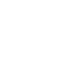 jung